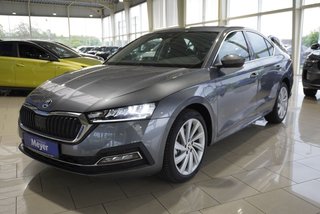 Skoda Octavia age.one-day registration Kaufen
