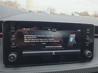 Skoda Kamiq Monte Carlo 1,5TSI DSG 4*J.Gar/AHK/18*Alu/el.Klappe - bilder 29