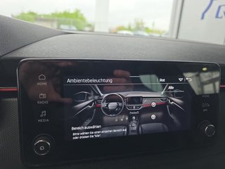 Skoda Kamiq Monte Carlo 1,5TSI DSG AHK/Matrix/el.Klappe - bilder 45