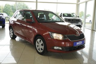 Skoda Fabia Gebrauchtwagen Kaufen