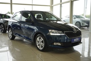 Skoda Fabia Gebrauchtwagen Kaufen