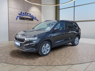 Skoda Karoq age.one-day registration Kaufen