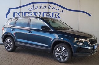 Skoda Karoq age.one-day registration Kaufen