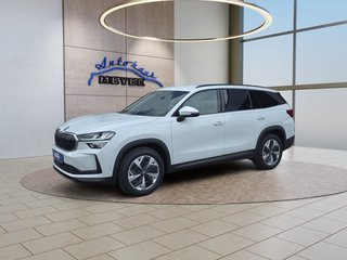 Skoda Kodiaq age.one-day registration Kaufen