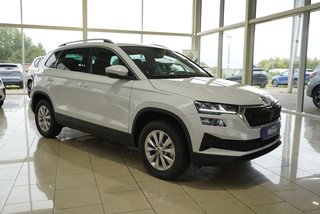 Skoda Karoq age.one-day registration Kaufen