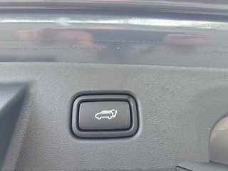 Hyundai TUCSON 1,6T HEV 4WD N Line UPE=51000 Euro!        ** - bilder 13