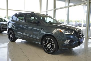 Ford Kuga Gebrauchtwagen Kaufen