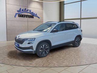 Skoda Karoq age.one-day registration Kaufen