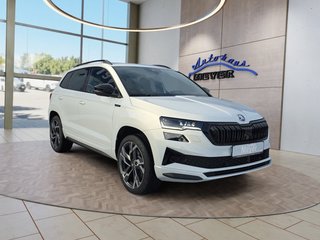 Skoda Karoq age.one-day registration Kaufen