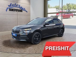 Skoda Kamiq Gebrauchtwagen Kaufen