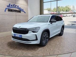 Skoda Kodiaq age.one-day registration Kaufen