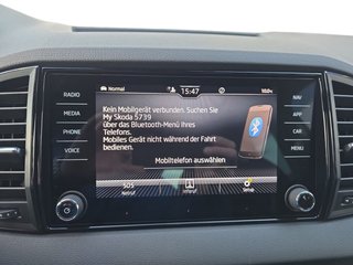 Skoda Karoq Sportline 2,0TDI DSG 4*J.Gar/aAHK/Matrix/Navi    ** - bilder 24