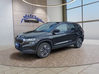Skoda Karoq age.one-day registration Kaufen