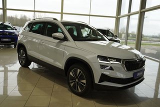 Skoda Karoq age.one-day registration Kaufen