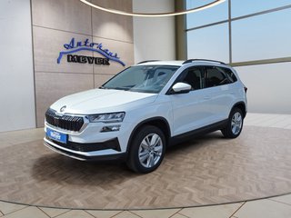 Skoda Karoq age.one-day registration Kaufen