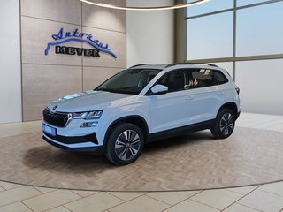Skoda Karoq age.one-day registration Kaufen