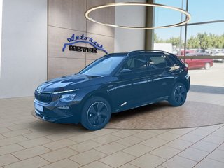 Skoda Kamiq age.one-day registration Kaufen