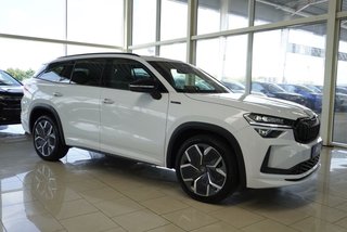 Skoda Kodiaq age.one-day registration Kaufen
