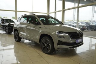 Skoda Karoq age.one-day registration Kaufen