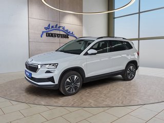 Skoda Karoq age.one-day registration Kaufen