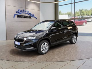 Skoda Karoq age.one-day registration Kaufen