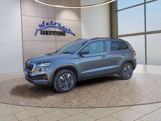 Skoda Karoq age.one-day registration Kaufen