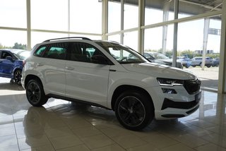 Skoda Karoq age.one-day registration Kaufen