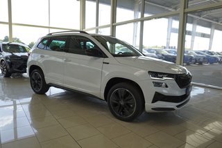 Skoda Karoq age.one-day registration Kaufen