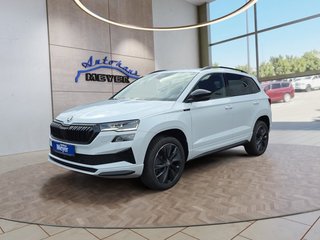 Skoda Karoq age.one-day registration Kaufen