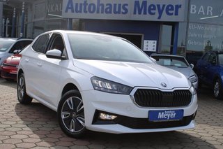 Skoda Fabia Gebrauchtwagen Kaufen