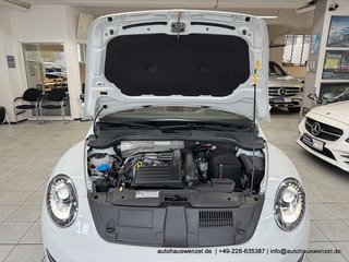 Volkswagen Beetle Cabriolet 1.4 "Allstar Plus" 6-Gang KAM - photo 26
