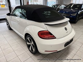 Volkswagen Beetle Cabriolet 1.4 "Allstar Plus" 6-Gang KAM - photo 5