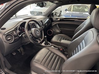 Volkswagen Beetle Lim. Sport 1.4 6-Gang - LEDER FENDER PANO - foto 8