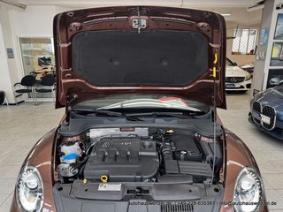 Volkswagen Beetle Cabriolet 2.0 TDI 5-Gang FENDER XENON KAM - foto 20