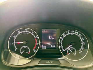 Skoda Fabia 1,0 Cool Plus  Alu Carplay SHZ DAB PDC Klima - foto 12