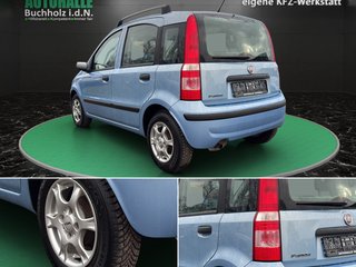 Fiat Panda 1.2 8V Dynamic~KLIMA~SERVO~ZV~DACHREHLING~el.FH~Insp. NEU+TÜV NEU - bilder 2