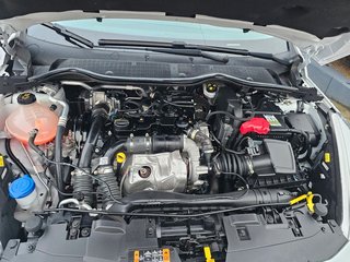 Ford Fiesta Cool & Connect*NAVI*TEMPOMAT*SHZ*SPUR* - photo 1