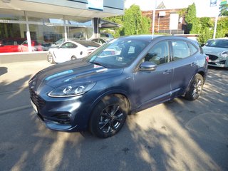 Ford Kuga Gebrauchtwagen Kaufen