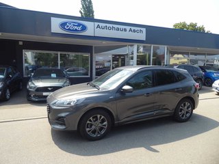 Ford Kuga Jahreswagen Kaufen