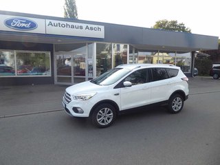 Ford Kuga Gebrauchtwagen Kaufen