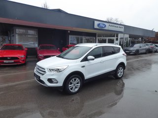 Ford Kuga Gebrauchtwagen Kaufen