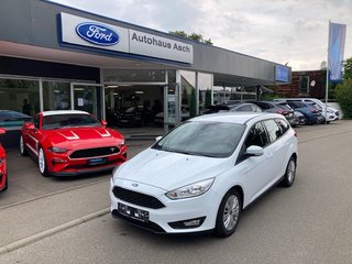 Ford Focus Gebrauchtwagen Kaufen