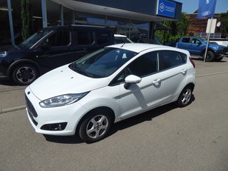 Ford Fiesta Gebrauchtwagen Kaufen