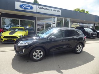Ford Kuga Gebrauchtwagen Kaufen