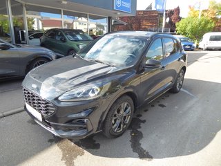 Ford Kuga Gebrauchtwagen Kaufen