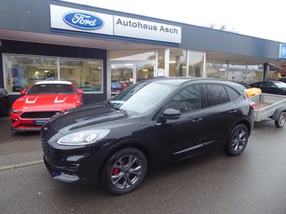 Ford Kuga Gebrauchtwagen Kaufen