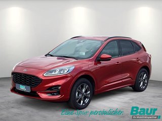 Ford Kuga Gebrauchtwagen Kaufen
