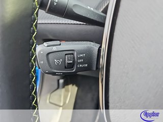 Peugeot 2008 Elektro GT Panodach Kamera Navi - bilder 10