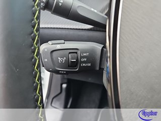 Peugeot e-208  GT Pack Kamera Alcantara Panodach PDC - bilder 9