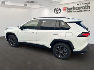 Toyota RAV4 Team Deutschland+ Technik Paket Hybrid 4x2 Deutschland - bilder 8